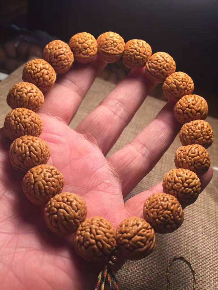 1550828049728097.jpg Cache_67deaf5258a1609..jpg