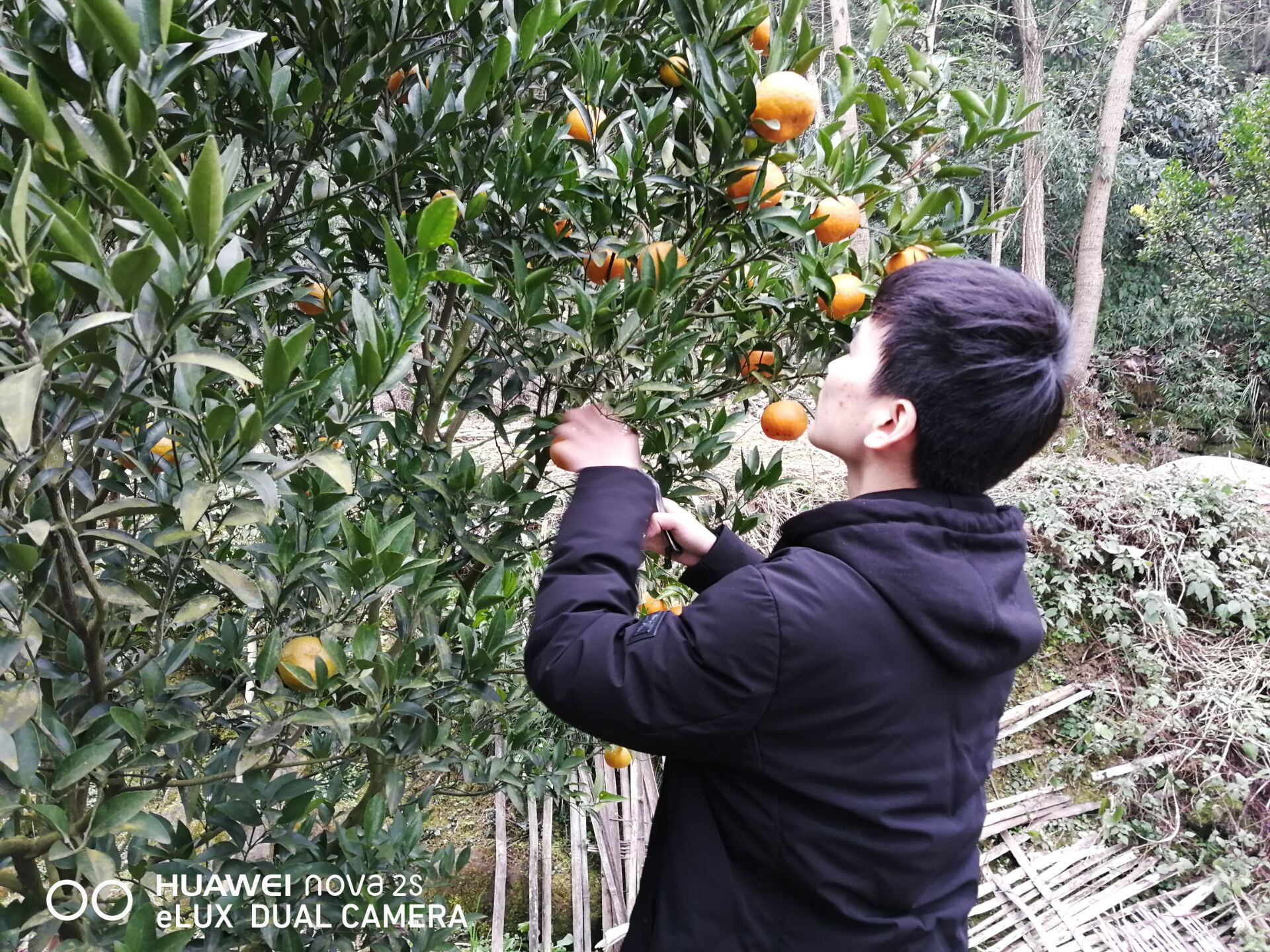 1547902195175569.jpg QQ图片20190119202746.jpg