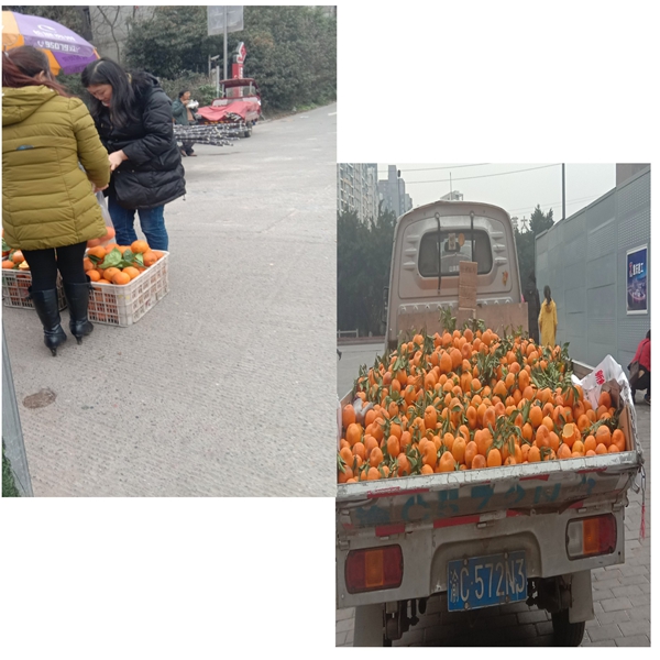 1550287608372784.jpg 小孟瑶.jpg