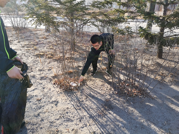 1552874114126207.jpg 龙沙公园1.jpg