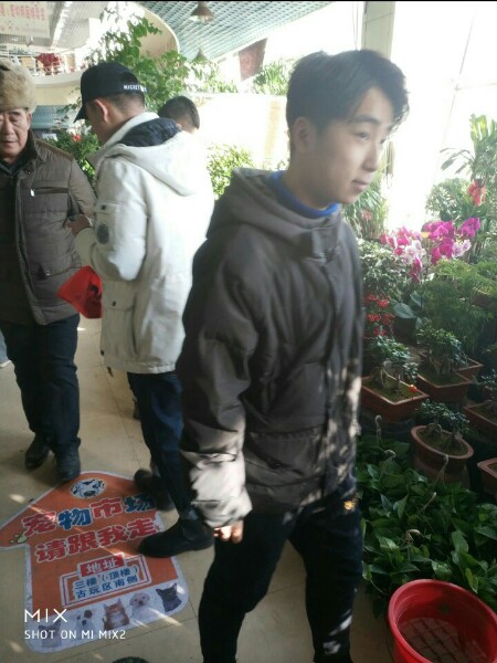 1548603950100096.jpg PicsArt_01-27-11.44.31.jpg