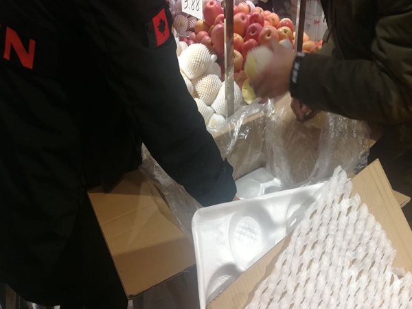 1550407947377991.jpg 陈晓瑞1.jpg