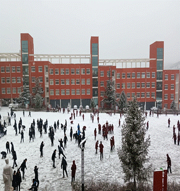 图示, 示意图

中度可信度描述已自动生成:ver1