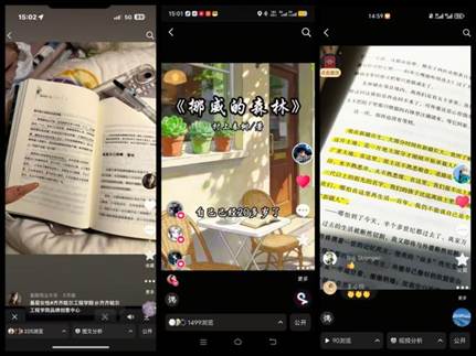 91ca08633b279bdecc50414818ba7108