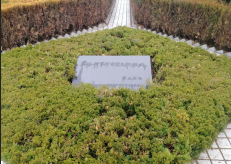 1548588466166489.png 截图20190127192620.png