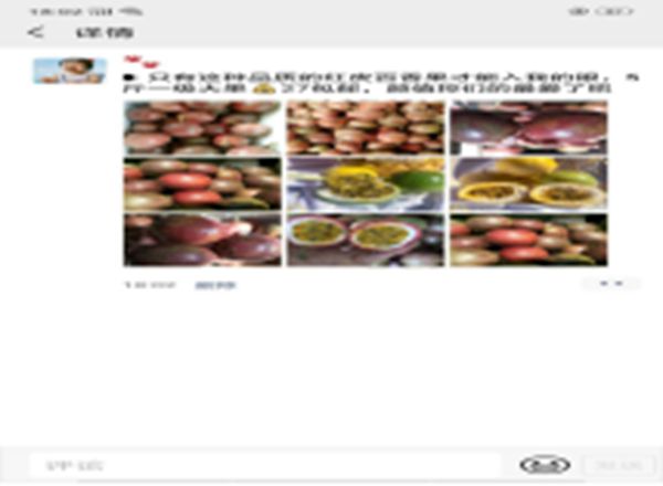 1550767799119821.jpg 未命名_副本04.jpg