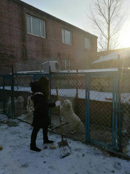 1550579255102970.jpg 做1.jpg